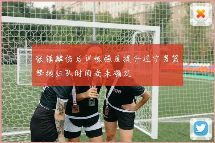 张镇麟伤后训练强度提升辽宁男篮锋线归队时间尚未确定
